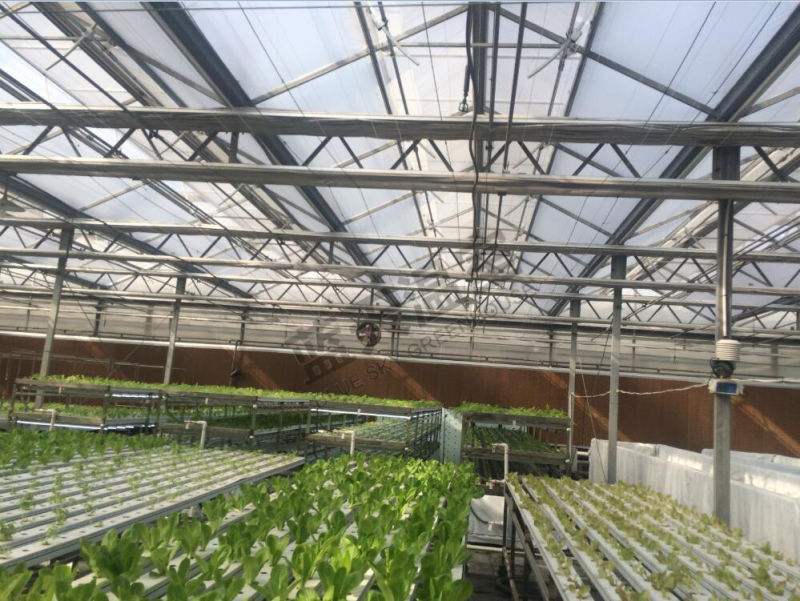 Long Life-Span Glass Greenhouse with Auto environment Control System