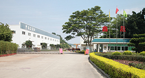 Commercial Fixed Vent Rose Greenhouse for wholesale