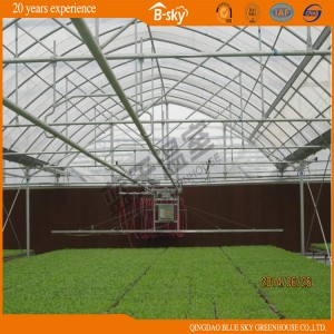 Long Life-Span High Quality Single-Layer Film Greenhouse