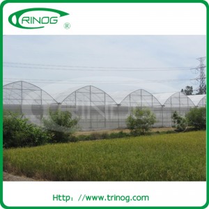 Advanced Hydroponics Greenhouse for Vegetable