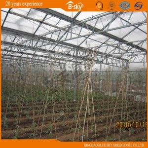 High Production Venlo Type Greenhouse Covered by Glass