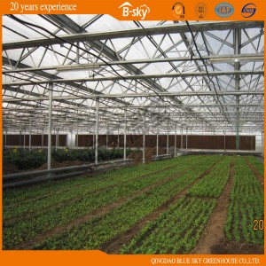Beautiful Appearance Multi-Span Greenhouse with Soilless Culture