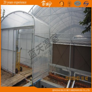 High Output Multi-Span Structure Film Green House