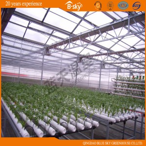 Glass Multi-Span Greenhouse with Mobile Seedbed