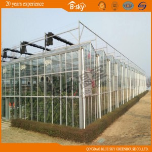 High Quality Dutch Technology Multi-Span Glass Greenhouse