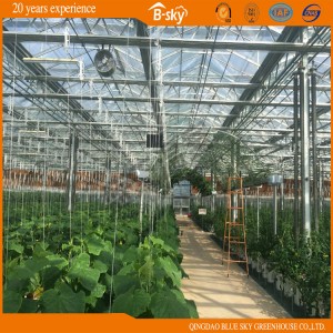 Venlo Structure Greenhouse with Long Life Span