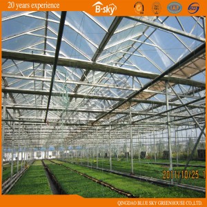 High Output Venlo Structure Greenhouse