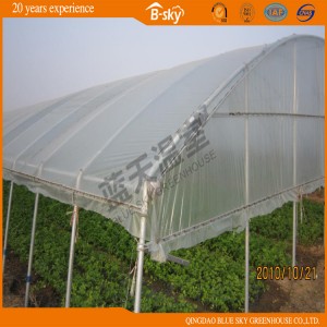 Factory Price Tunnel Plastic Film Green House for Vegetable Planting