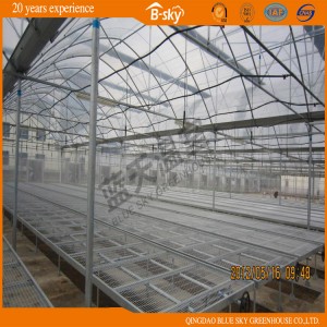 Multi-Span Film Greenhouse with Drip Irrigation System
