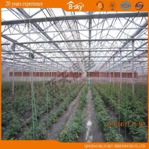 Glass Greenhouse with Drip Irrigation System
