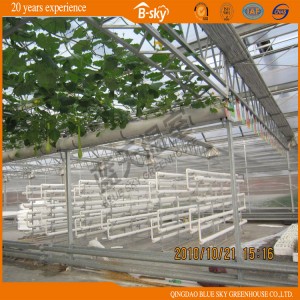 Beautiful Appearance Multi-Span Greenhouse with High Cost Performance