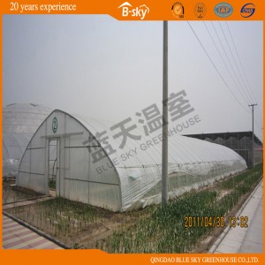 Low Cost Tunnel Plastic Film Green House