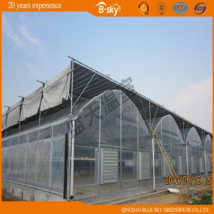 Multi-Span Film Greenhouse for Vegetable Planting