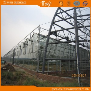High Yield Dutch Technology Multi-Span Glass Green House