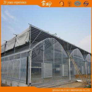 Modern Design Multi Span Film Green House for Vegetable Planting