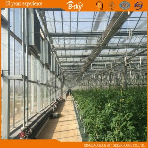 Long Life-Span Venlo Type Glass Greenhouse for Agricultural Planting