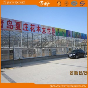 Venlo Type Glass Greenhouse with Long Life Span