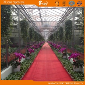 High Quality Venlo Structure Greenhouse