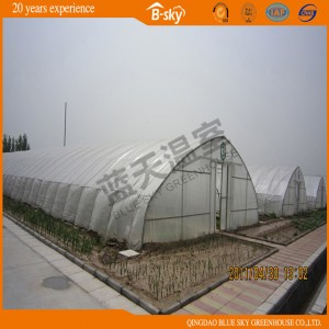High Quality Tunnel Plastic Film Green House