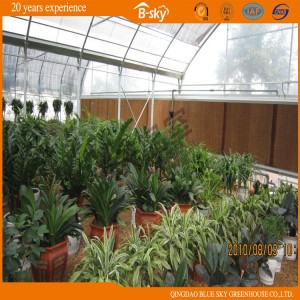 Low Cost Film Multi-Span Green House with Substrate Culture