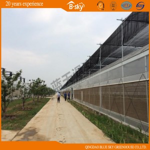 Agricultural Use Multi-Span Film Greenhouse