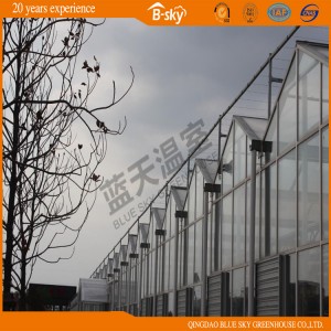 Multi-Span Glass Greenhouse with Auto Planting System