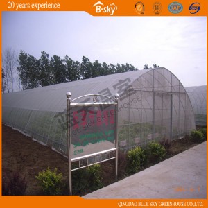 High Cost Performance Tunnel Plastic Film Green House