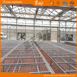 High Yield Plastic Film Covered Green House