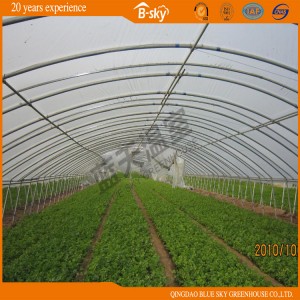 High Quality Low Cost Film Greenhouse for Vegetable Planting