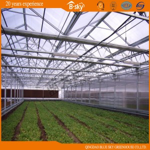 Glass Greenhouse with Drip Irrigation System China Supplier