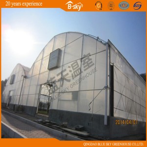 Multipurpose Arch Structure Multi-Span Film Greenhouse