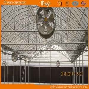 Plastic Film Greenhouse with Good Insulation Performance