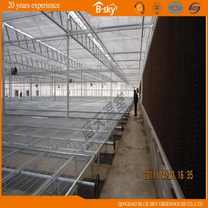 Morden Polycarbonate Sheet Intelligent Greenhouse