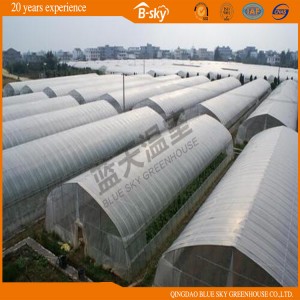 High Output Arch Greenhouse for Vegetable Planting