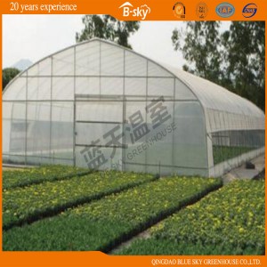 Extensive Use Arch Greenhouse for Vegetable Planting