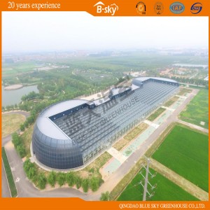 Mult-Ispan Glass Greenhouse for Planting Vegetables