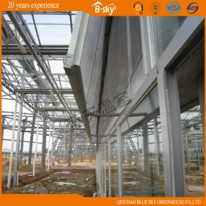 Extensively Used Durable Venlo Glass Green House