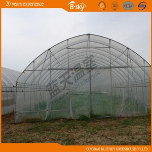 High Quality Arch Green House with Hot Galvanized Frame