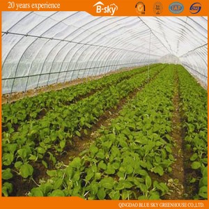 China Supplier Hoop Greenhouse with Galvanized Steel Frame