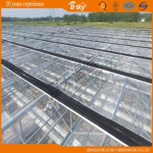 Netherlands Technology Venlo Type Glass Greenhouse