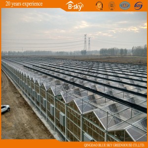 High Quality F-Clean Film Greenhouse