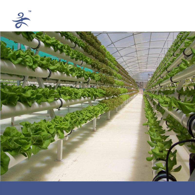 Hydroponics for Agricultural ,Greenhouse