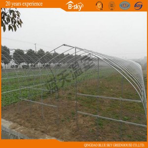 Hot Sale Arch Green House with Hot Galvanized Frame
