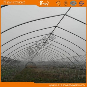 Arch Green House with Hot Galvanized Frame