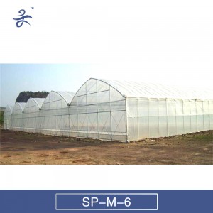 6m Span Multi-Span Plastic Vegetables Greenhouse, Flowers Greenhouse