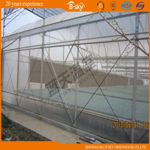High Output Plastic Film Greenhouse
