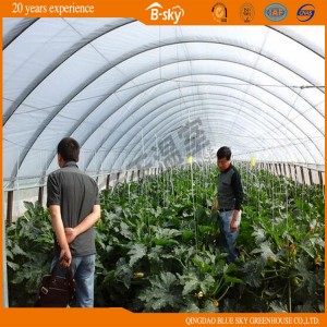 Hot Sale Hoop Greenhouse for Growing Vegetables