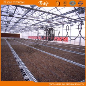 Multipurpose Venlo Structure Multi-Span Glass Greenhouse