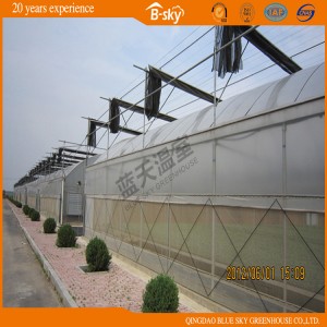 Super Span Film Greenhouse for Large Scale Planting