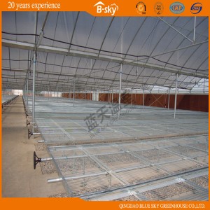 Plastic Film Greenhouse with Good Heat Insulation Performance